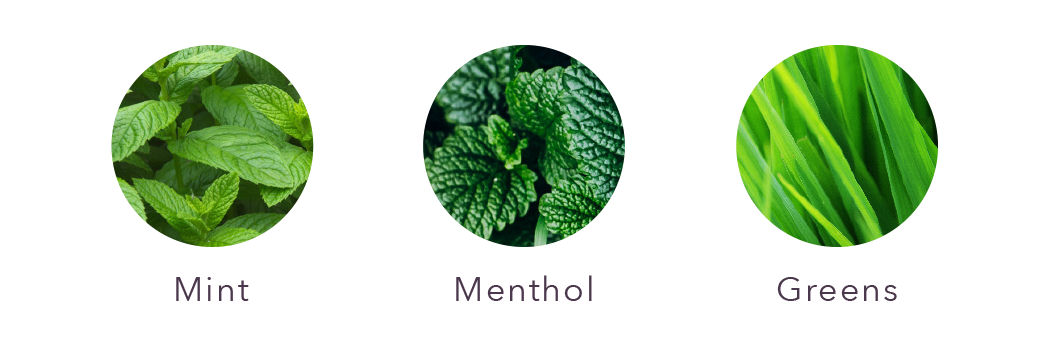 Hydrate - Shampoing 266ml